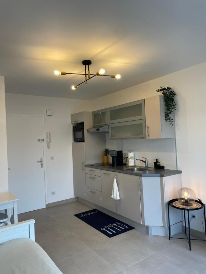 T2 Au Calme, Proche Des Plages, Climatise Et Parking Prive Cagnes-sur-Mer Extérieur photo